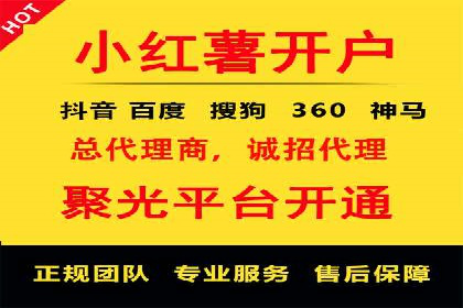 SEM代运营公司案例分析报告